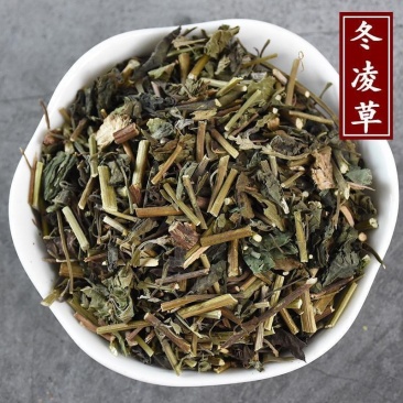 冬凌草，一手货源，新货药味足，产地直供道地药材，一公斤起