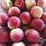 珍珠油桃苗，枣味油桃，糖度高，易管理，苗圃直发