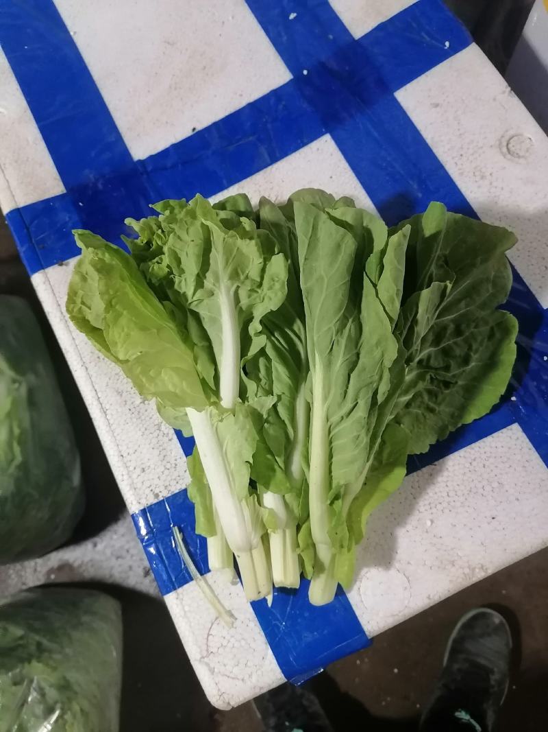 白菜苔