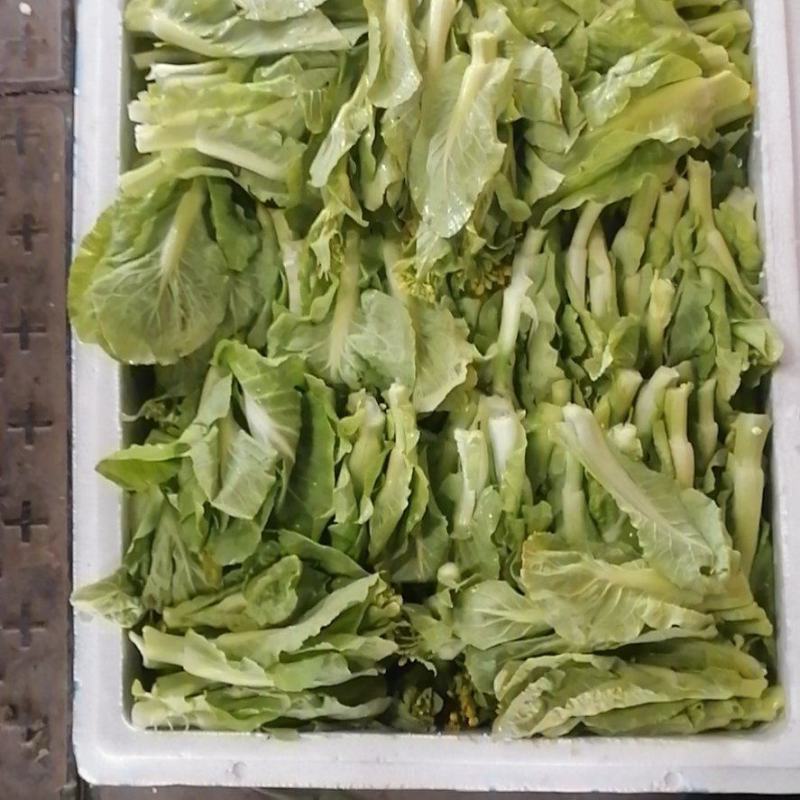 白菜苔