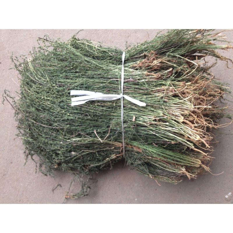 百蕊草，一手货源，新货药味足，道地药材产地直供，一公斤起