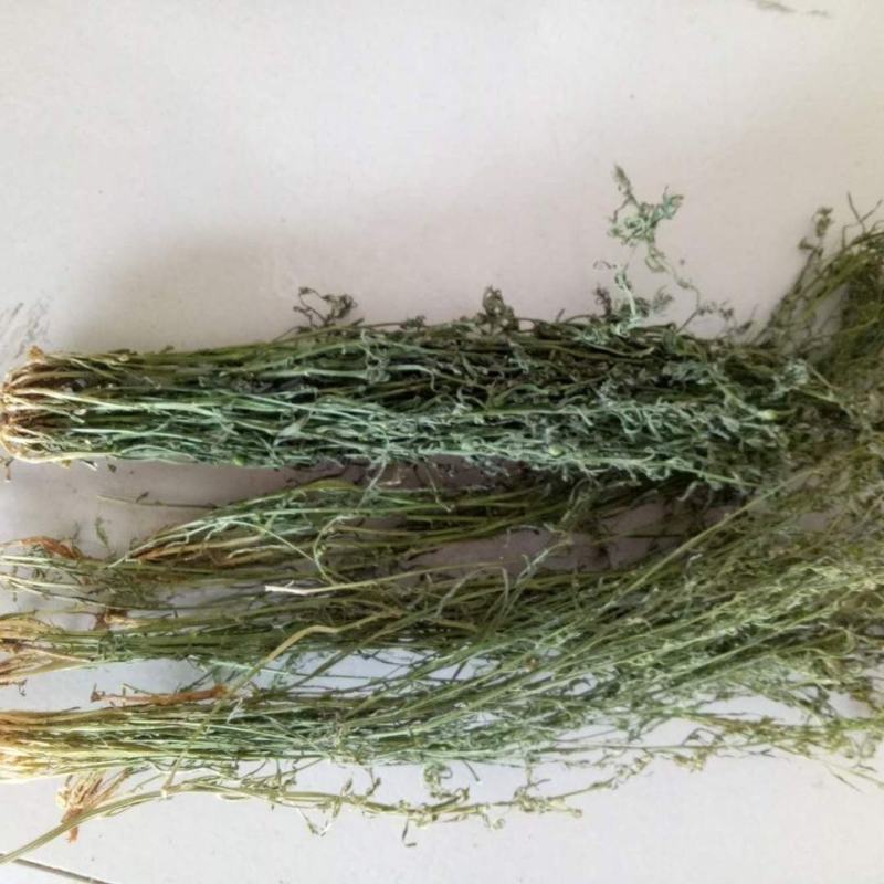 百蕊草，一手货源，新货药味足，道地药材产地直供，一公斤起