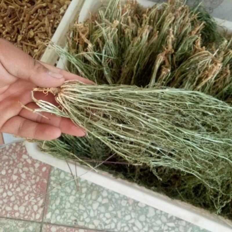 百蕊草，一手货源，新货药味足，道地药材产地直供，一公斤起