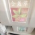 彩叶含羞草种子四季易种花卉盆栽植物种子阳台庭院种植含羞草