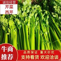 邯郸暖棚芹菜西芹大量上市中，目前为中小颗菜，产地直销，