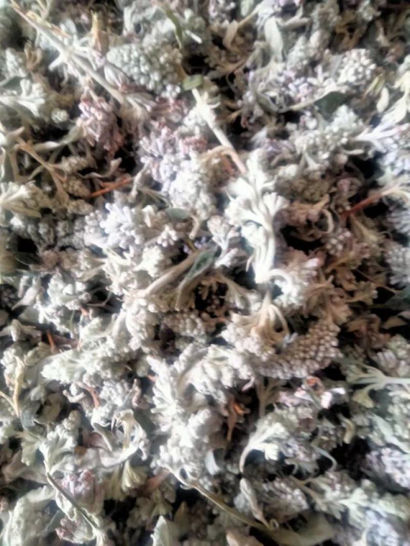 密蒙花新货密萌花野生密萌花干货太阳凉嗮干货