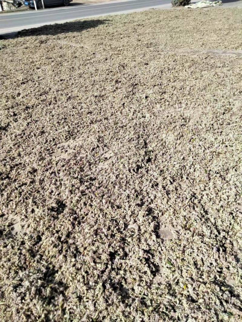 密蒙花新货密萌花野生密萌花干货太阳凉嗮干货