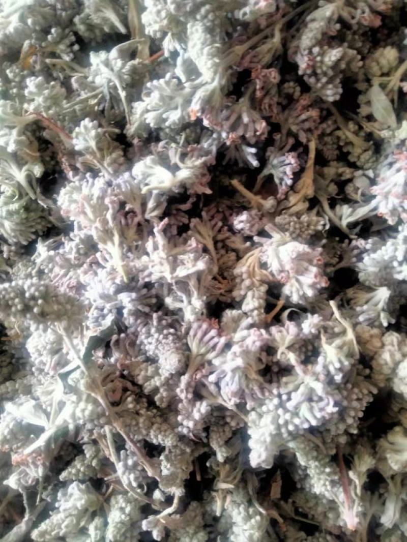 密蒙花新货密萌花野生密萌花干货太阳凉嗮干货