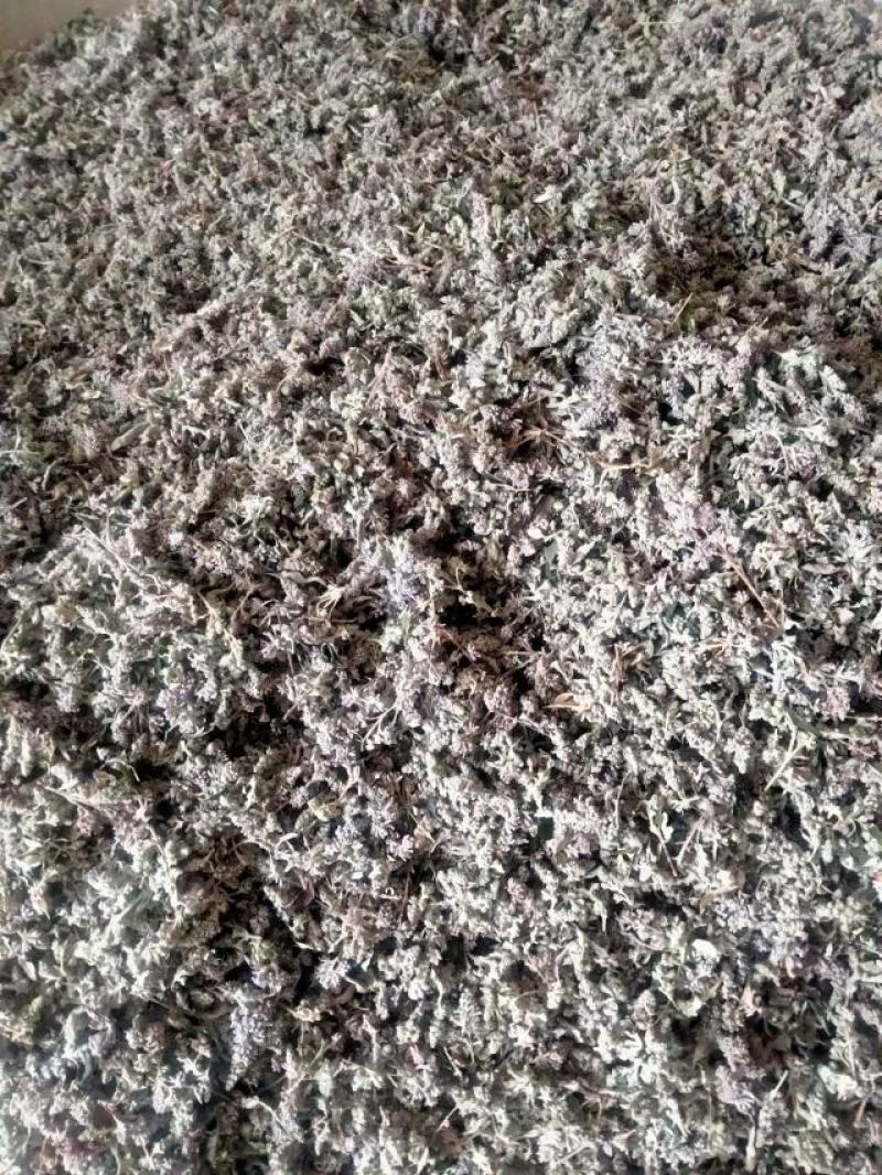 密蒙花新货密萌花野生密萌花干货太阳凉嗮干货