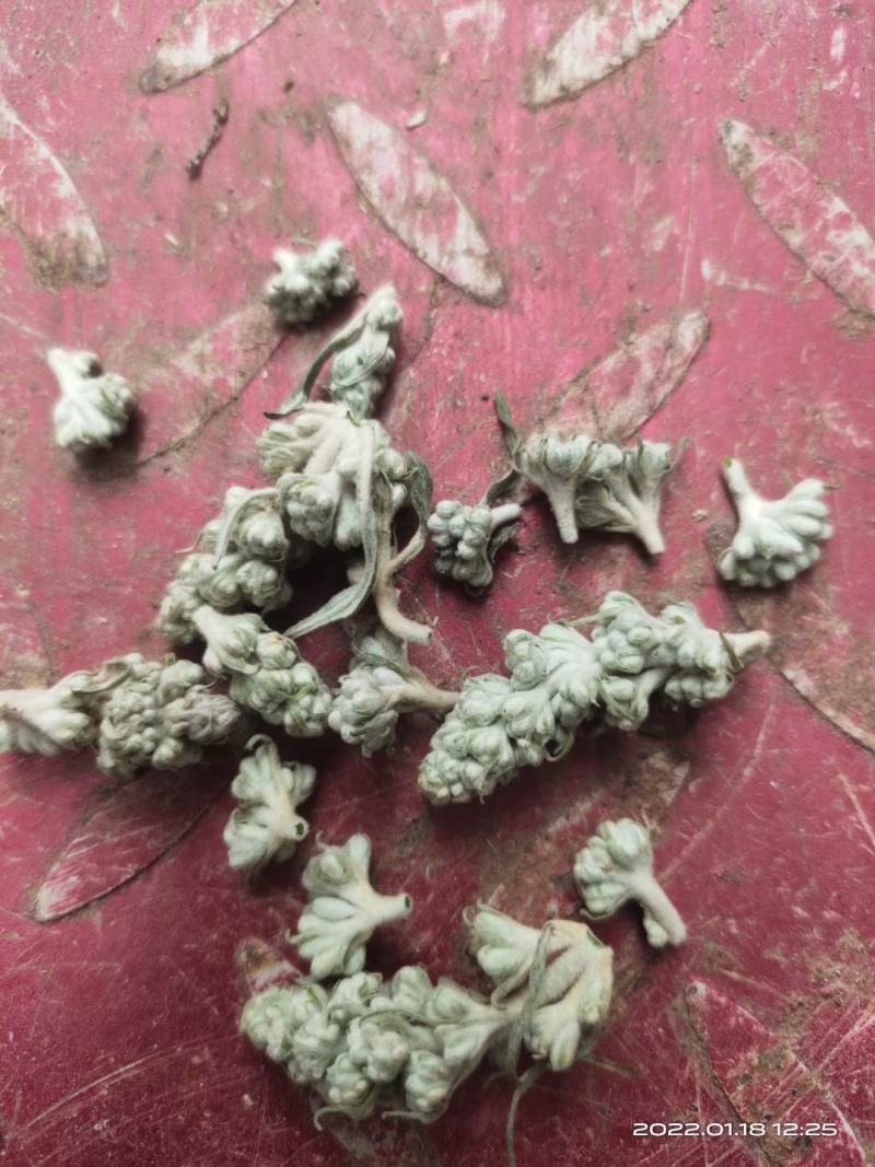 密蒙花新货密萌花野生密萌花干货太阳凉嗮干货