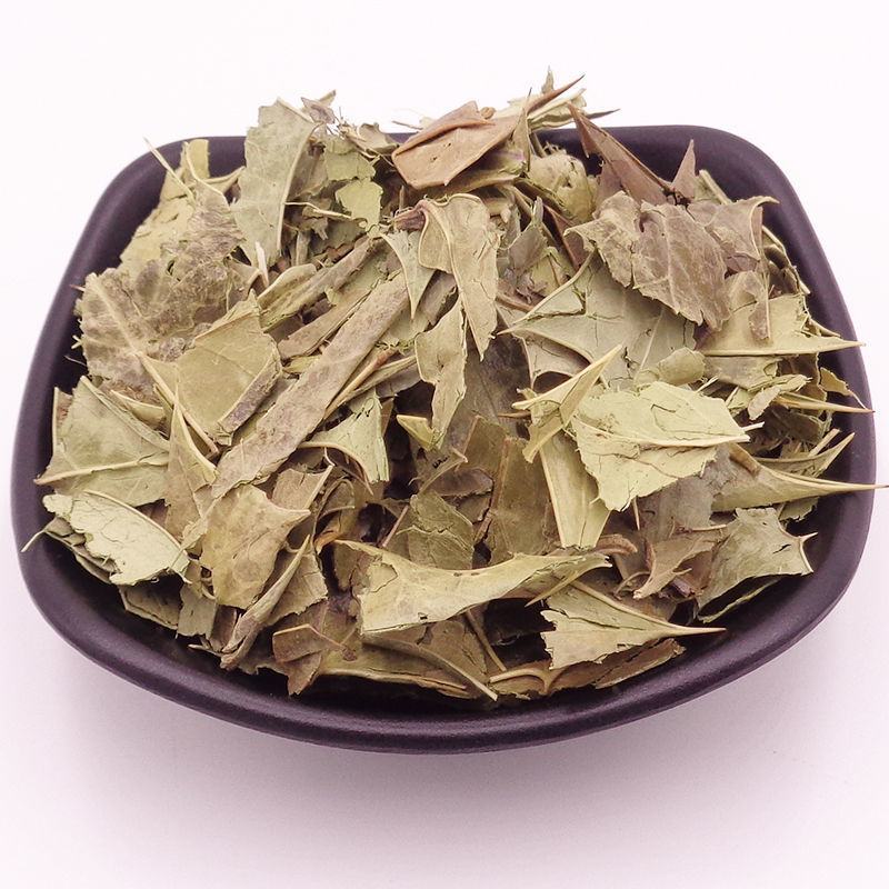 枸骨叶，一手货源新货药味足，产地直供道地药材，一公斤起批
