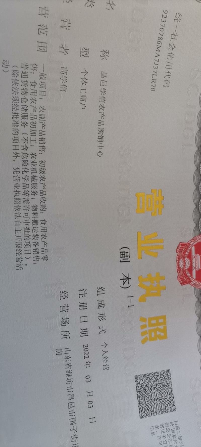 昌邑大姜，水洗产地直供一手货源诚信经营保证质量，全国供应