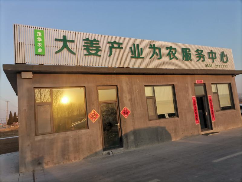 昌邑大姜，水洗产地直供一手货源诚信经营保证质量，全国供应