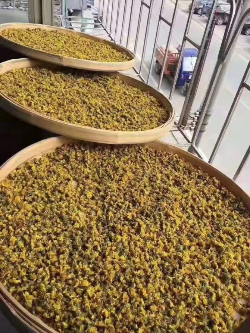 纯野菊花，有需要的联系我