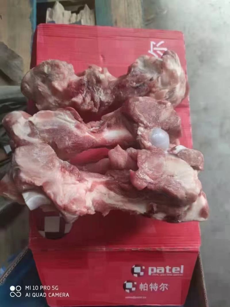 帕特尔腿骨多肉怕特尔腿骨大量有货量大来谈