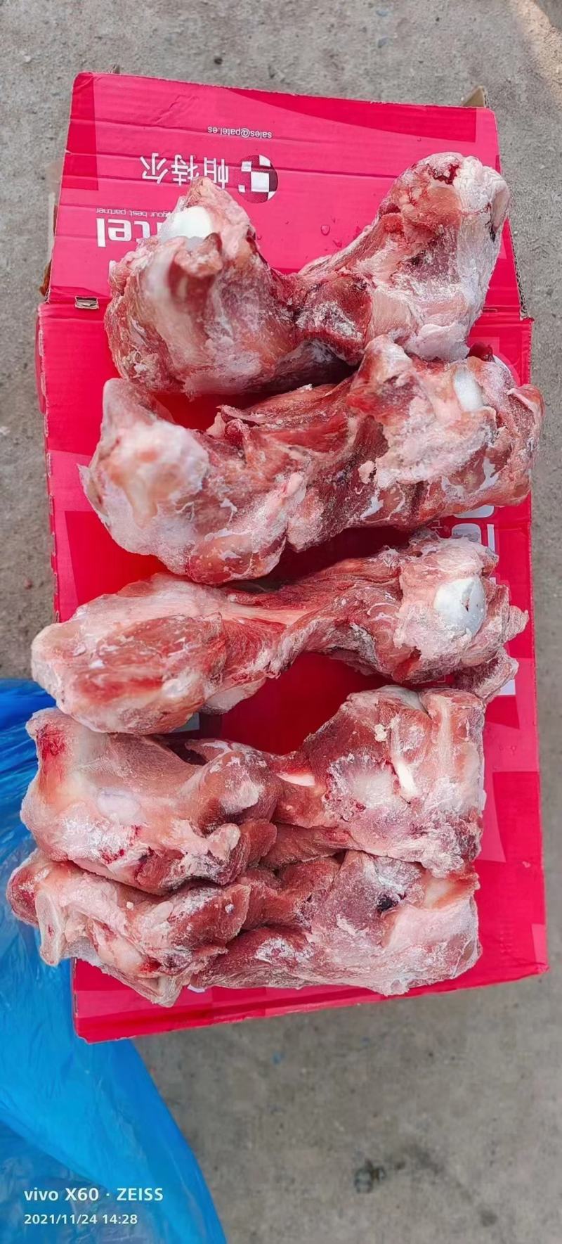 帕特尔腿骨多肉怕特尔腿骨大量有货量大来谈