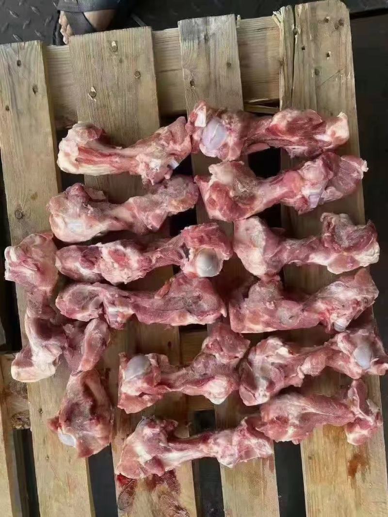 帕特尔腿骨多肉怕特尔腿骨大量有货量大来谈