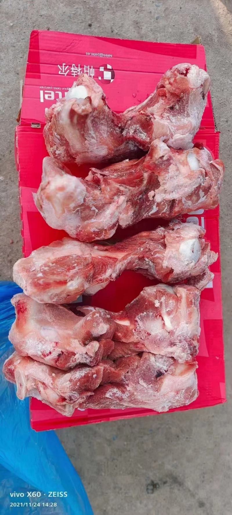 帕特尔腿骨多肉怕特尔腿骨大量有货量大来谈