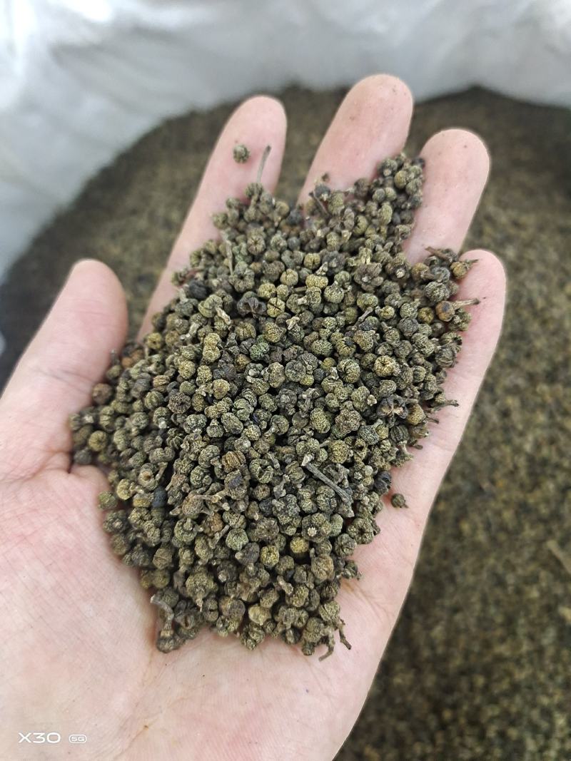 吴茱萸中花小花各种规格支持大货