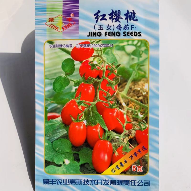 红樱桃番茄种子玉女番茄无限生长型小番茄种子椭圆形硬度高