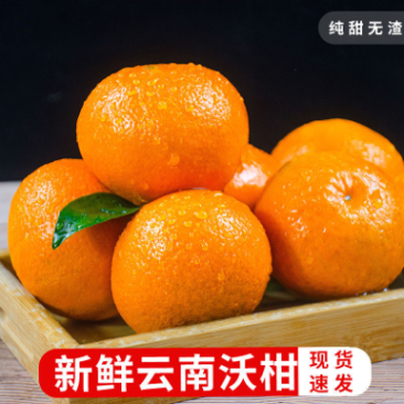 云南正宗沃柑超甜应季批发价新鲜采摘下单现在发