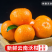 云南正宗沃柑超甜应季批发价新鲜采摘下单现在发