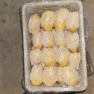 优质土豆批发，大量供应，品质保障可视频看货，欢迎采购