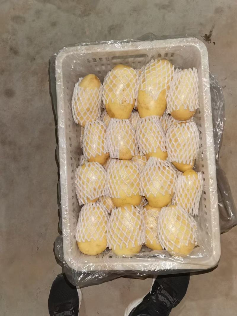 优质土豆批发，大量供应，品质保障可视频看货，欢迎采购