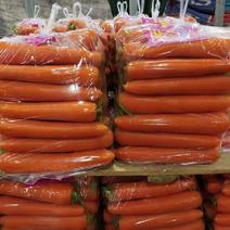 精品三红胡萝卜中条小条价格不高，靓货万亩种植基地