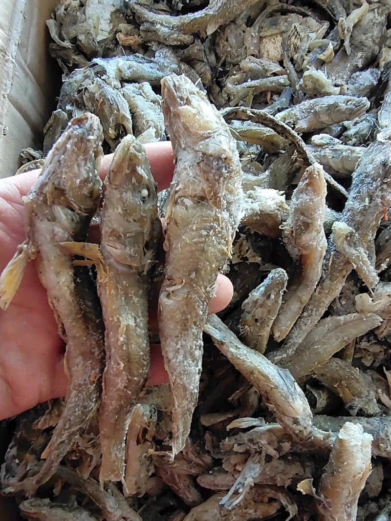 饲料小鱼喂虾蟹鱼食用油炸烘干盐干自家加工一手货源