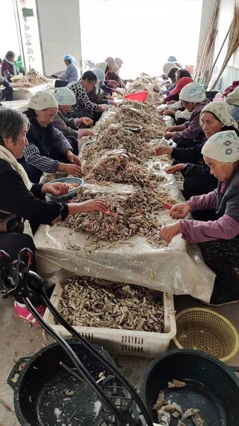 饲料小鱼喂虾蟹鱼食用油炸烘干盐干自家加工一手货源