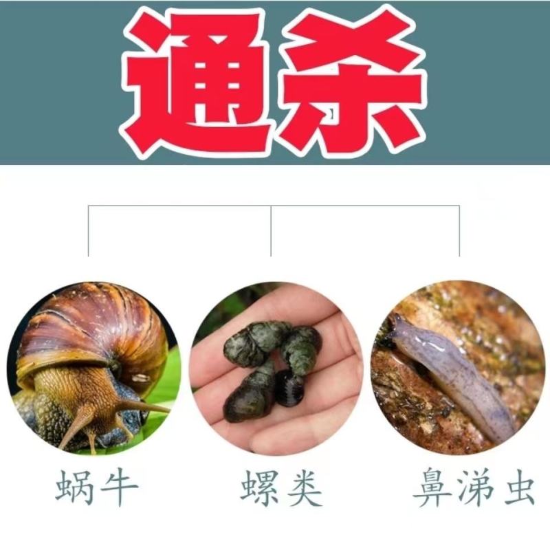 80%四聚乙醛蜗牛喷雾型蔬菜果树田地花卉福寿螺蛞蝓鼻涕虫