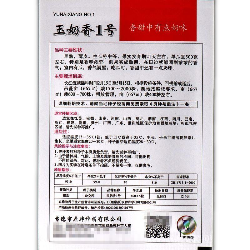 甜瓜香瓜种子鼎牌玉奶香2号浓香高甜度脆宝甜脆早熟薄皮耐涝
