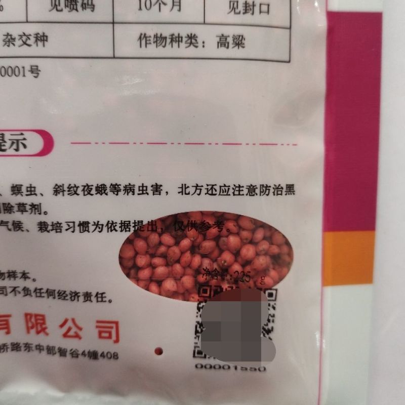 两糯一号高粱种子，甜高梁种子粮食酿酒用饲牧草抗旱高产