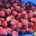 速冻草莓冷冻冷冻草莓厂家一手货源价格便宜欢迎咨询