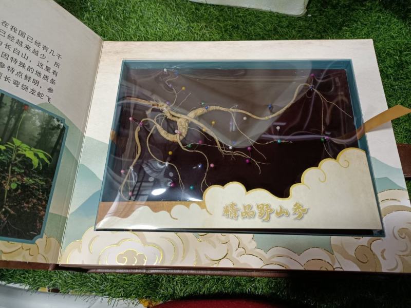 品名：长白山传说（一本有魔法的书)