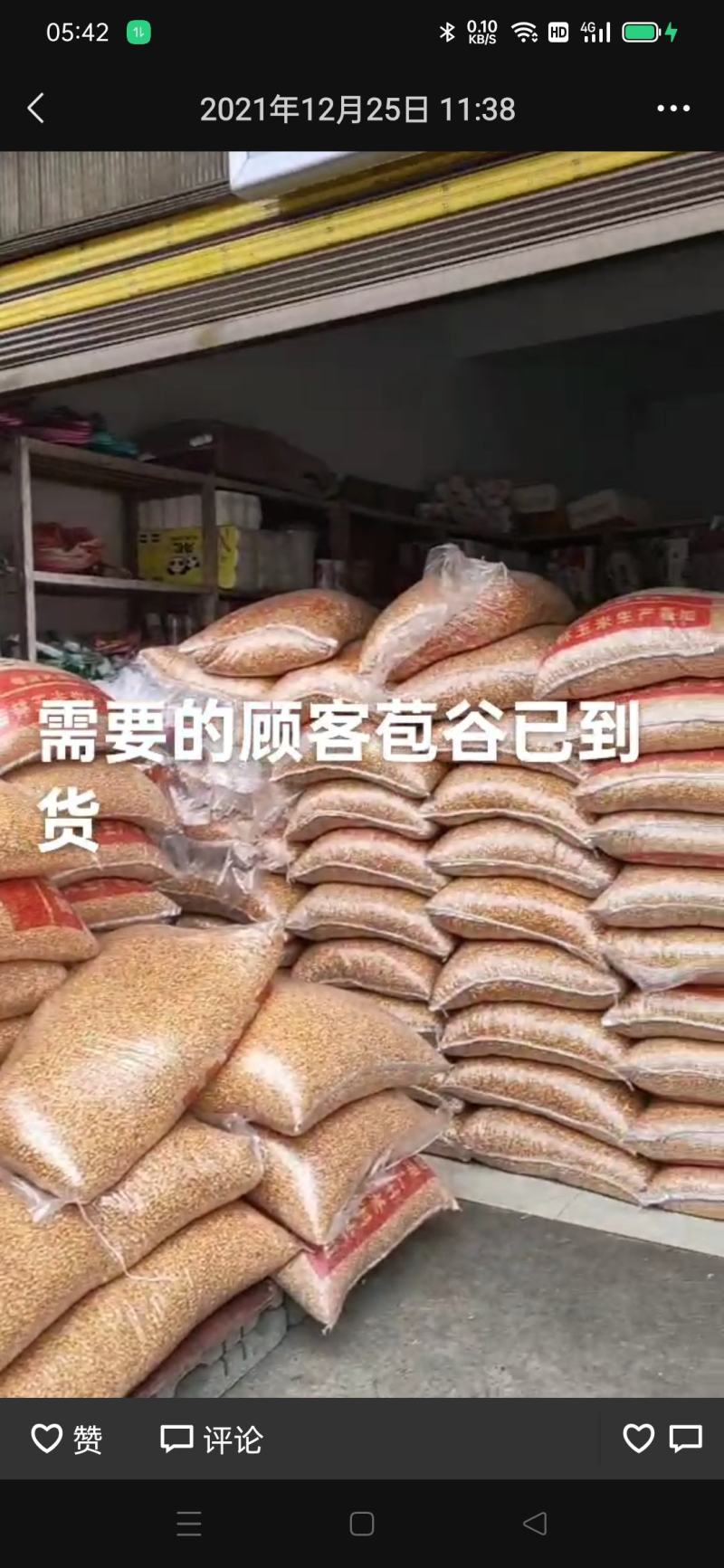 干玉米