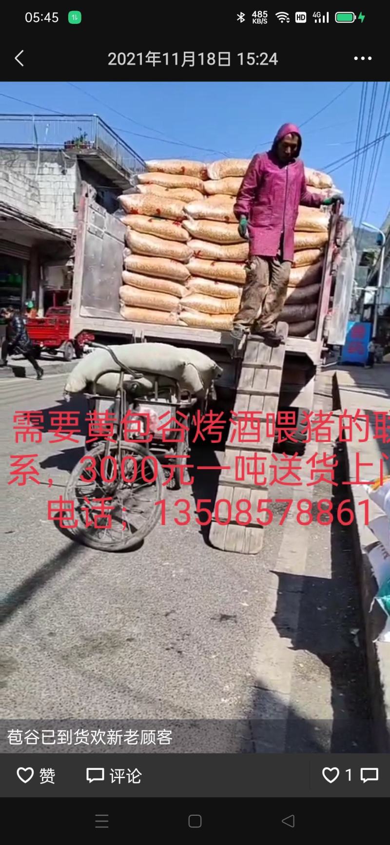 干玉米