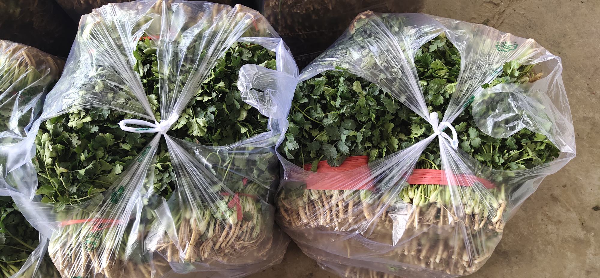 十香菜成品包装展示