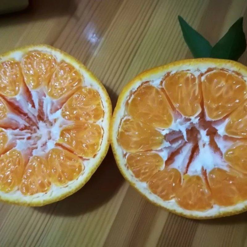春见耙耙柑，金堂口感更好