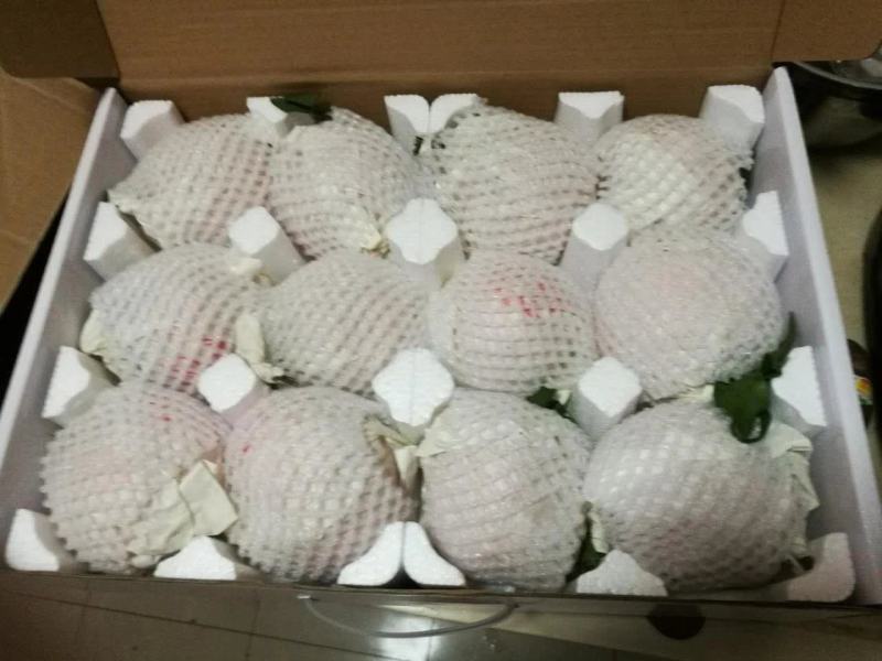 春见耙耙柑，金堂口感更好