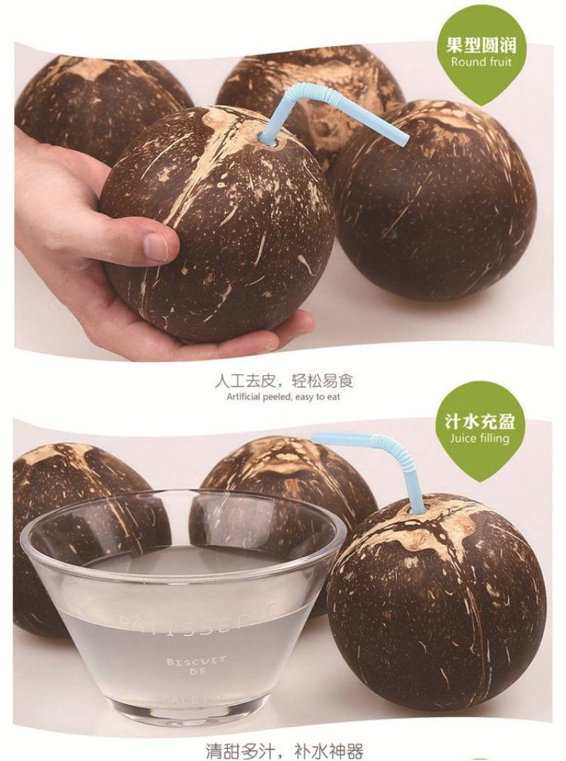 批发海南牛奶椰子椰皇椰王老椰子多汁椰奶冻椰子鸡汤煲汤包邮