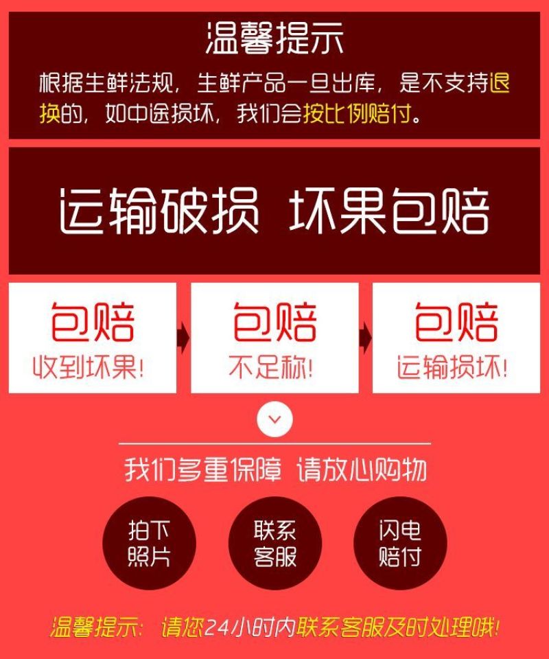 批发海南牛奶椰子椰皇椰王老椰子多汁椰奶冻椰子鸡汤煲汤包邮