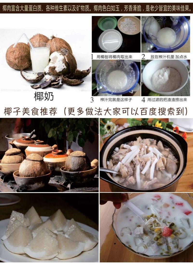 批发海南牛奶椰子椰皇椰王老椰子多汁椰奶冻椰子鸡汤煲汤包邮