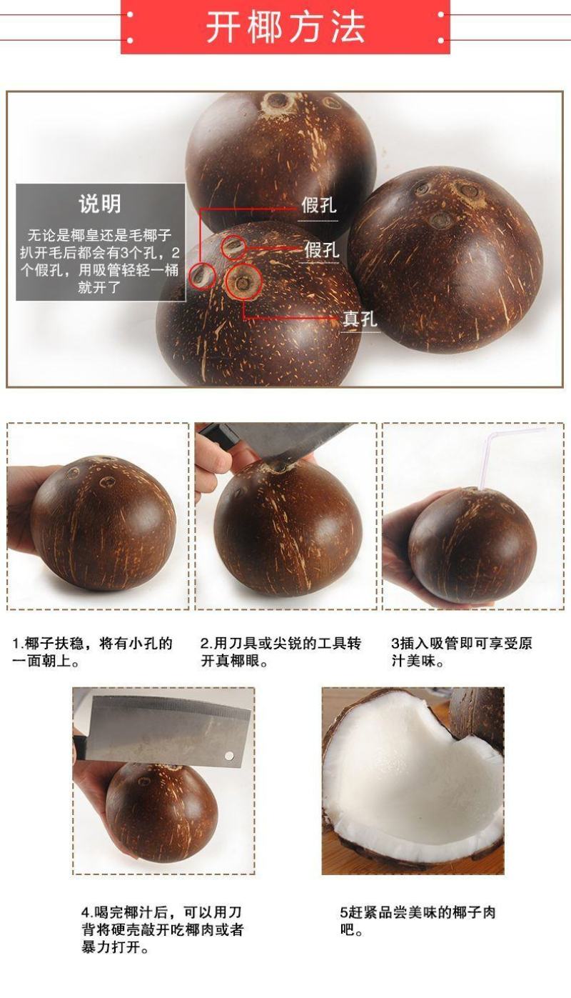 批发海南牛奶椰子椰皇椰王老椰子多汁椰奶冻椰子鸡汤煲汤包邮