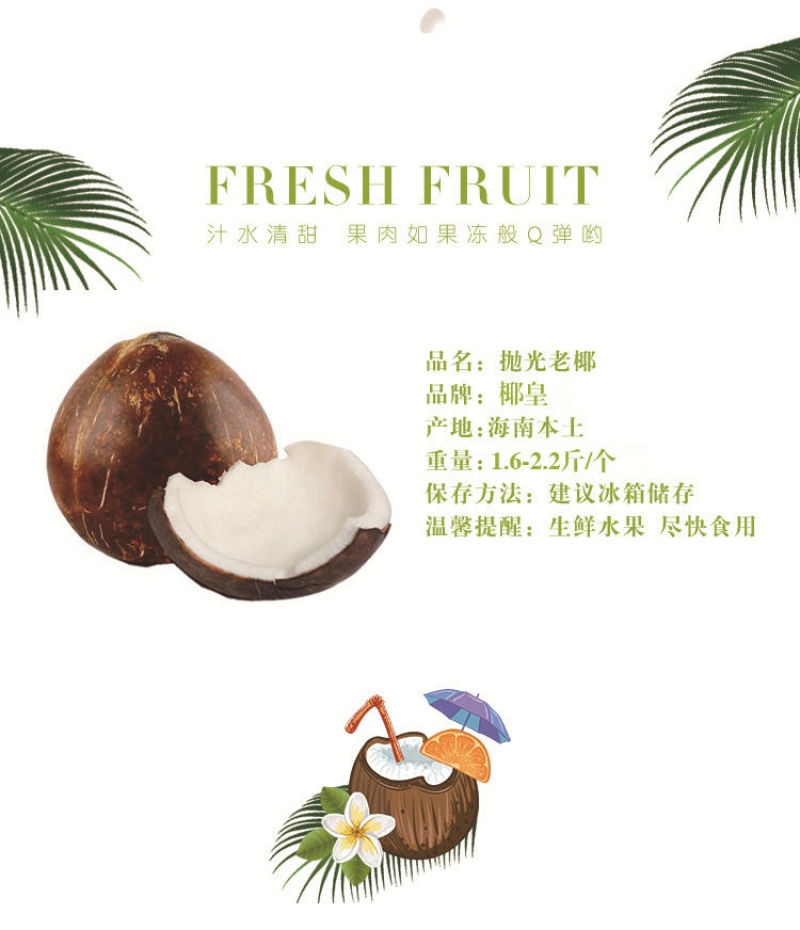 批发海南牛奶椰子椰皇椰王老椰子多汁椰奶冻椰子鸡汤煲汤包邮