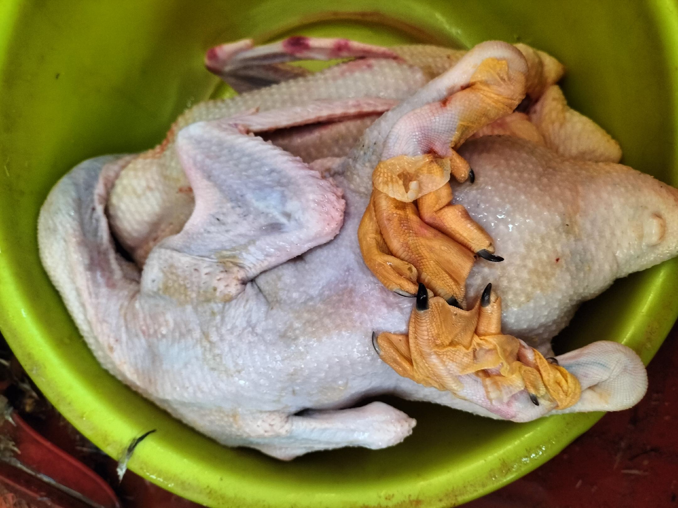 清远麻鸭活体与去骨鸭肉块对比图