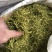 小米花，金银花优质小米花，小米花优惠大酬宾