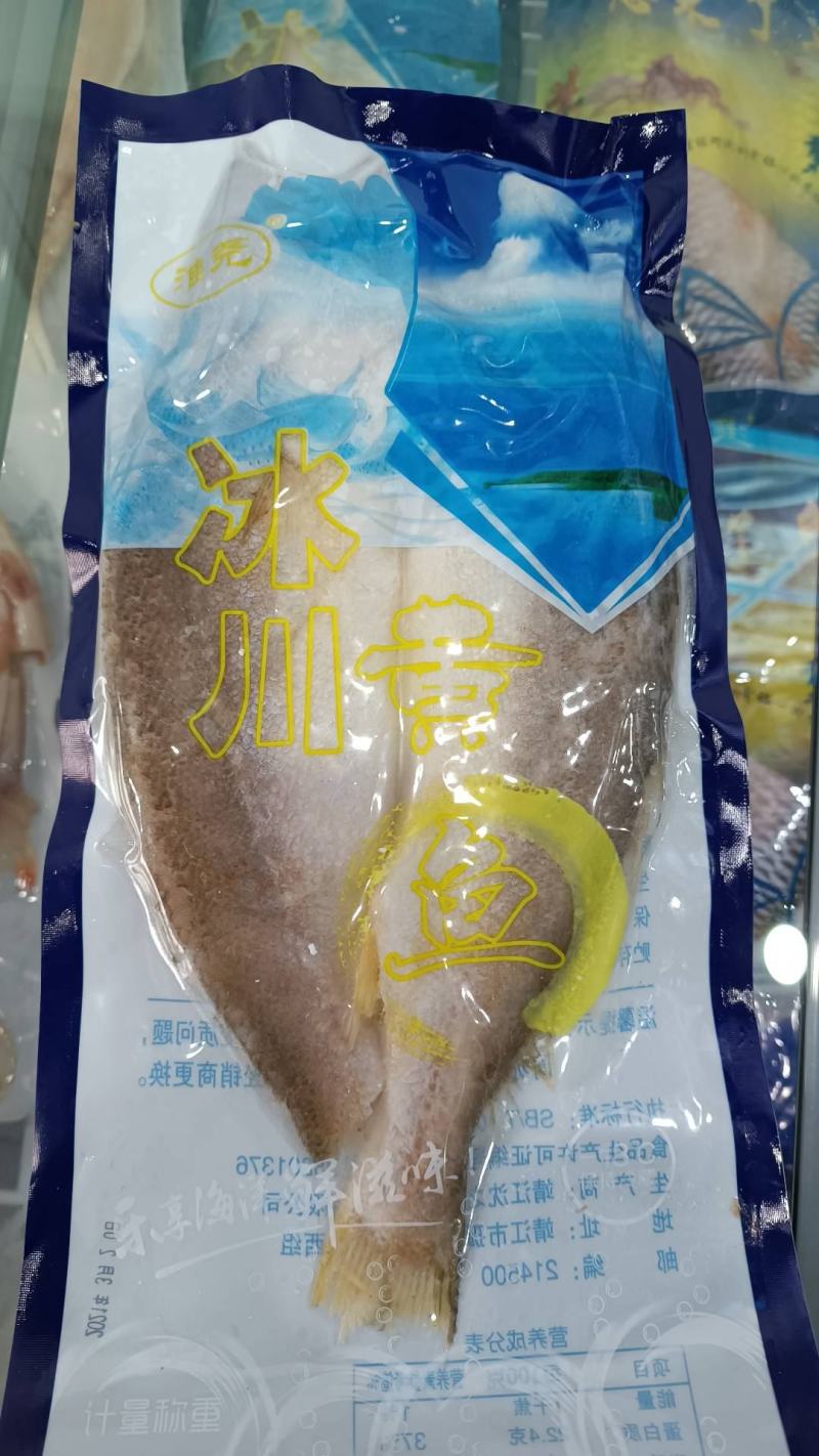 冰川黄鱼
