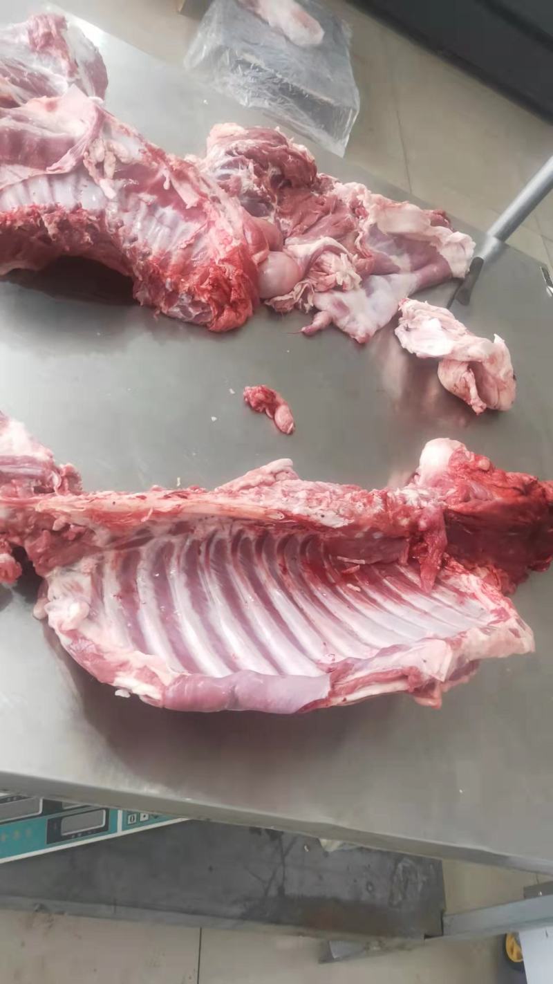 新鲜羊肉羊酮体一手货源基地直发可视频看货量大从优